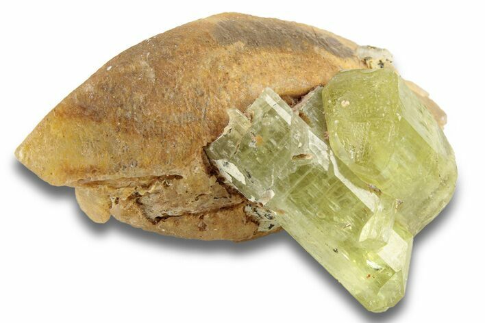 Lustrous, Yellow Apatite Crystals on Calcite - Morocco #251154